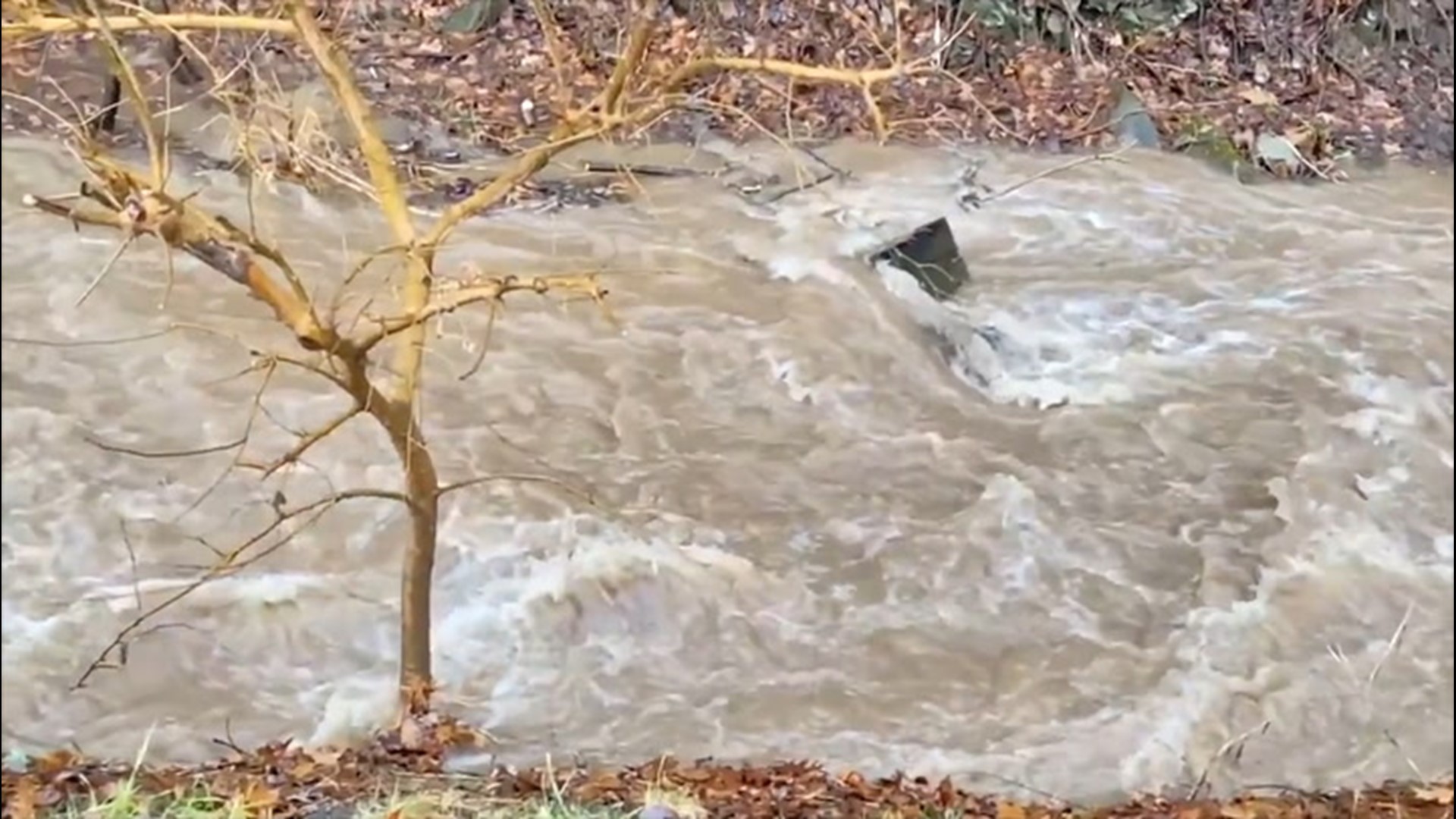 As river levels rose across much of the Southeast on March 1, streams and creeks were no exception.