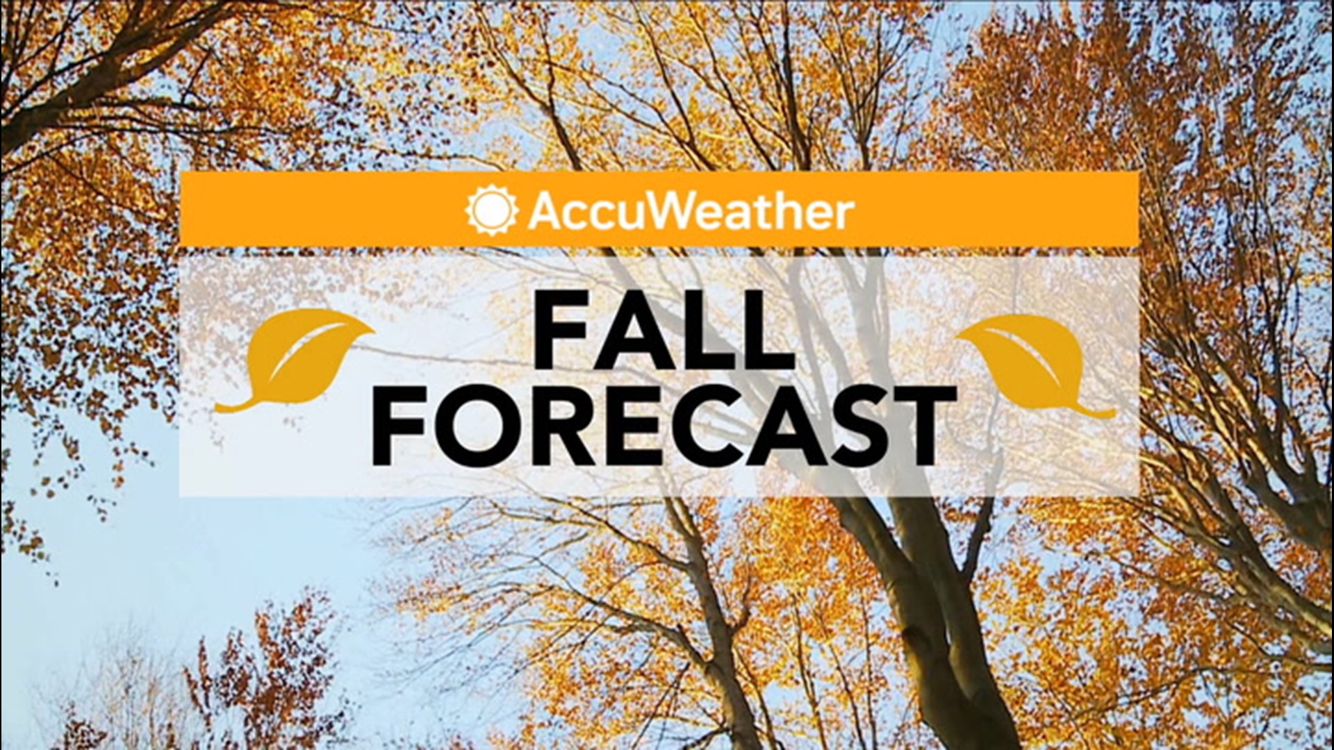 Dreaming of fall? Although it may be getting closer and closer each day, it might not feel like autumn for a while.