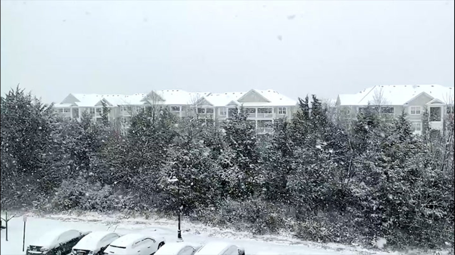 Winter storm drops first major snow of the year for parts of Virginia