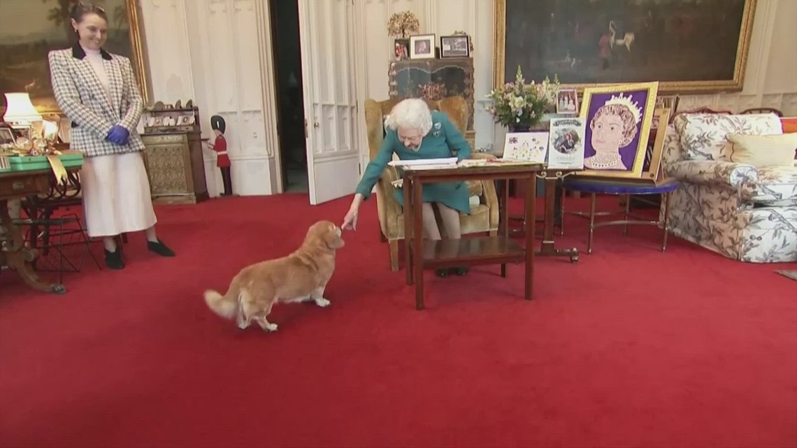 The Queen Has Loved Animals For Her Lifetime