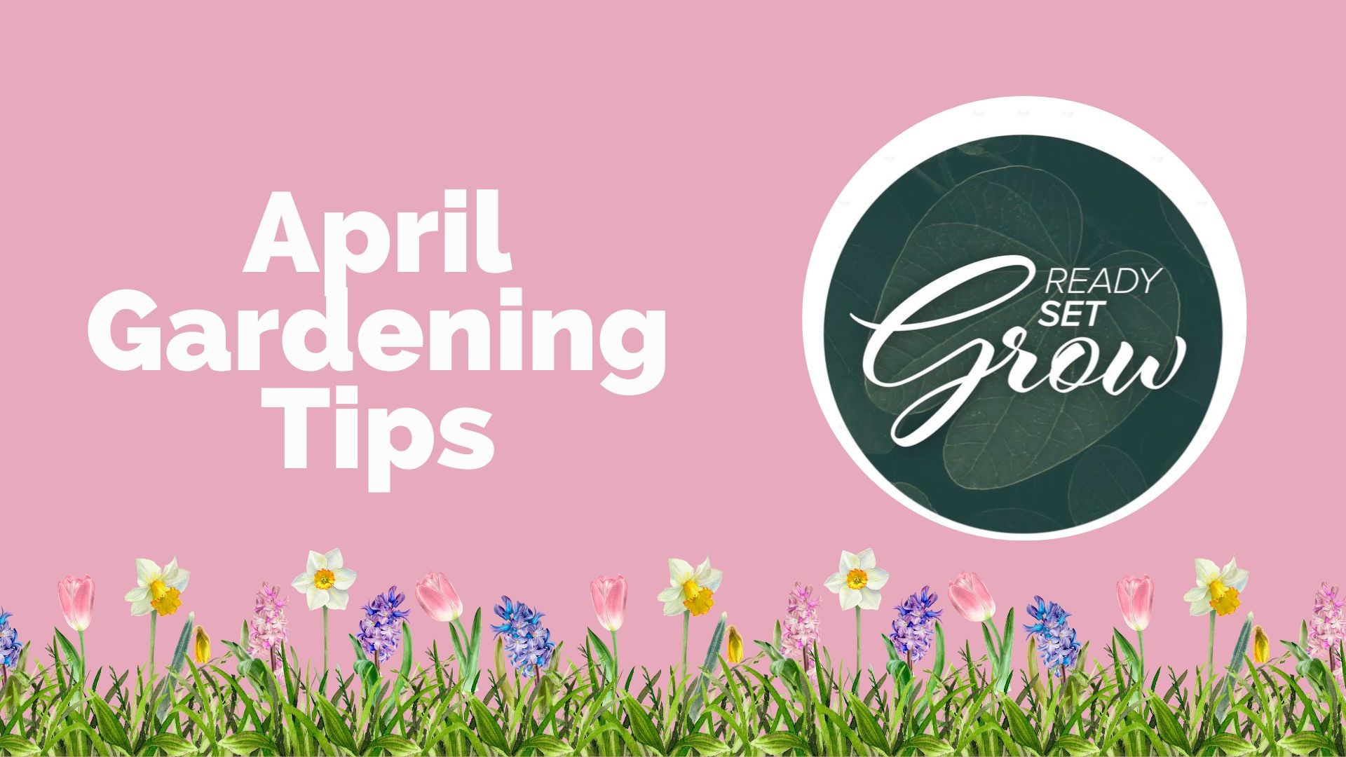 April showers bring May flowers, but that means you need to start planting now! Advice and tips on what to do now in your garden to get ready for the months ahead.