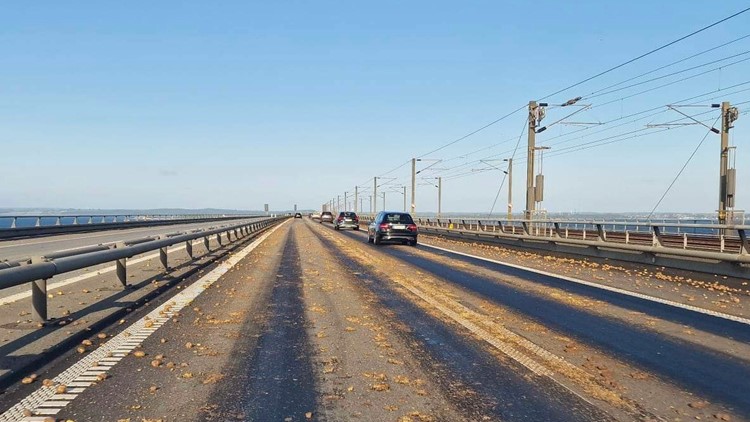 Truck driver suspected of spilling potatoes on Danish bridge is detained