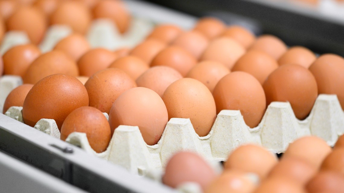 Bird flu detected at Cal-Maine facility in Texas Panhandle - Vimarsana News