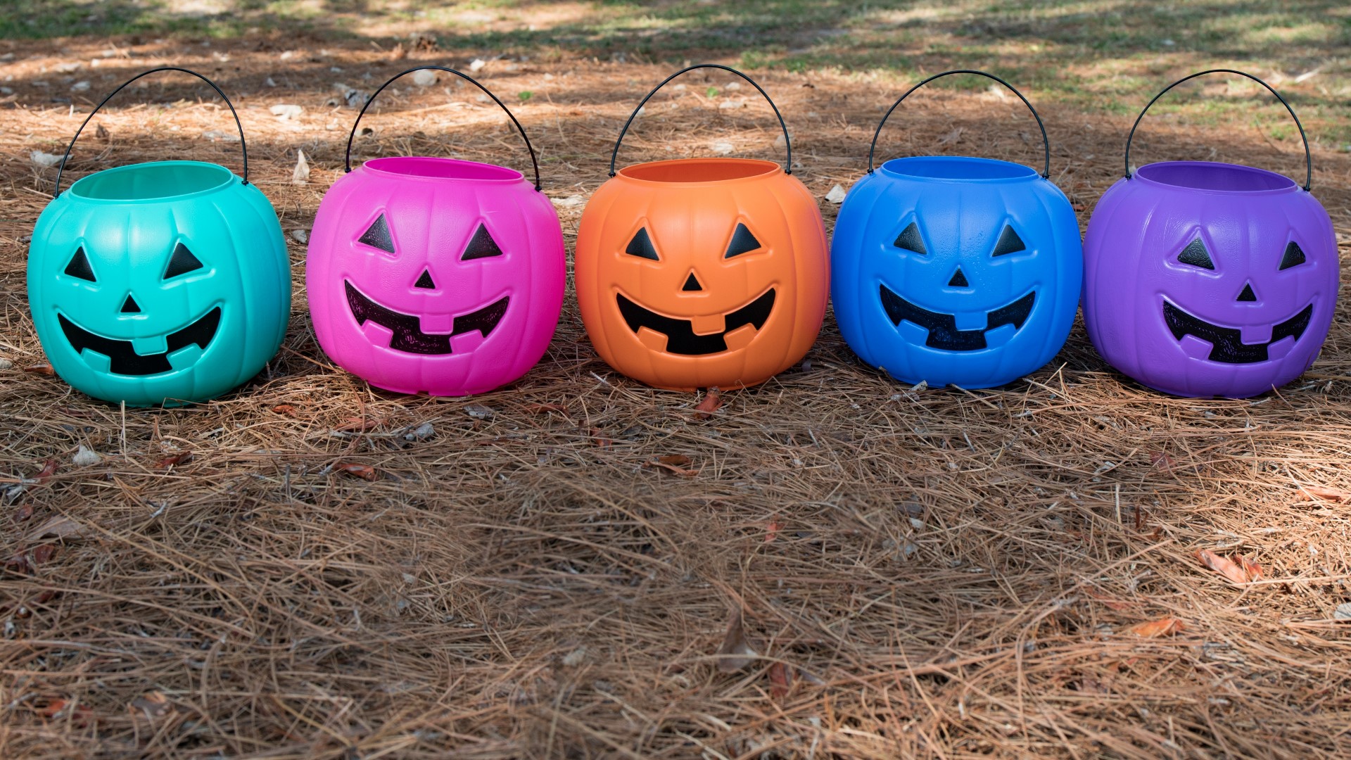 What do teal, purple and blue colored pumpkins mean on Halloween