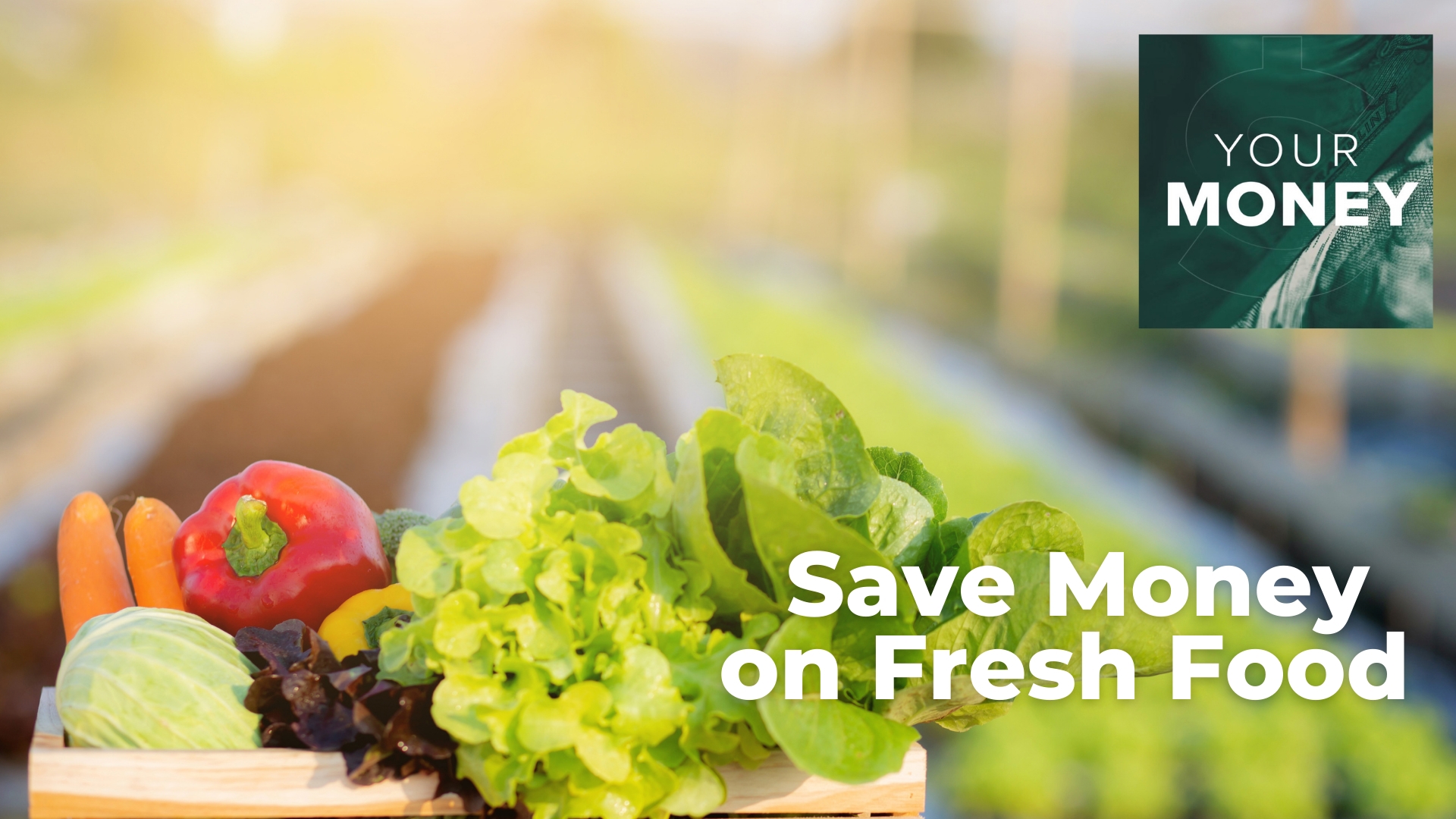 Host, Gordon Severson takes a look at ways to save money on fresh food from farmers markets to food subscriptions.