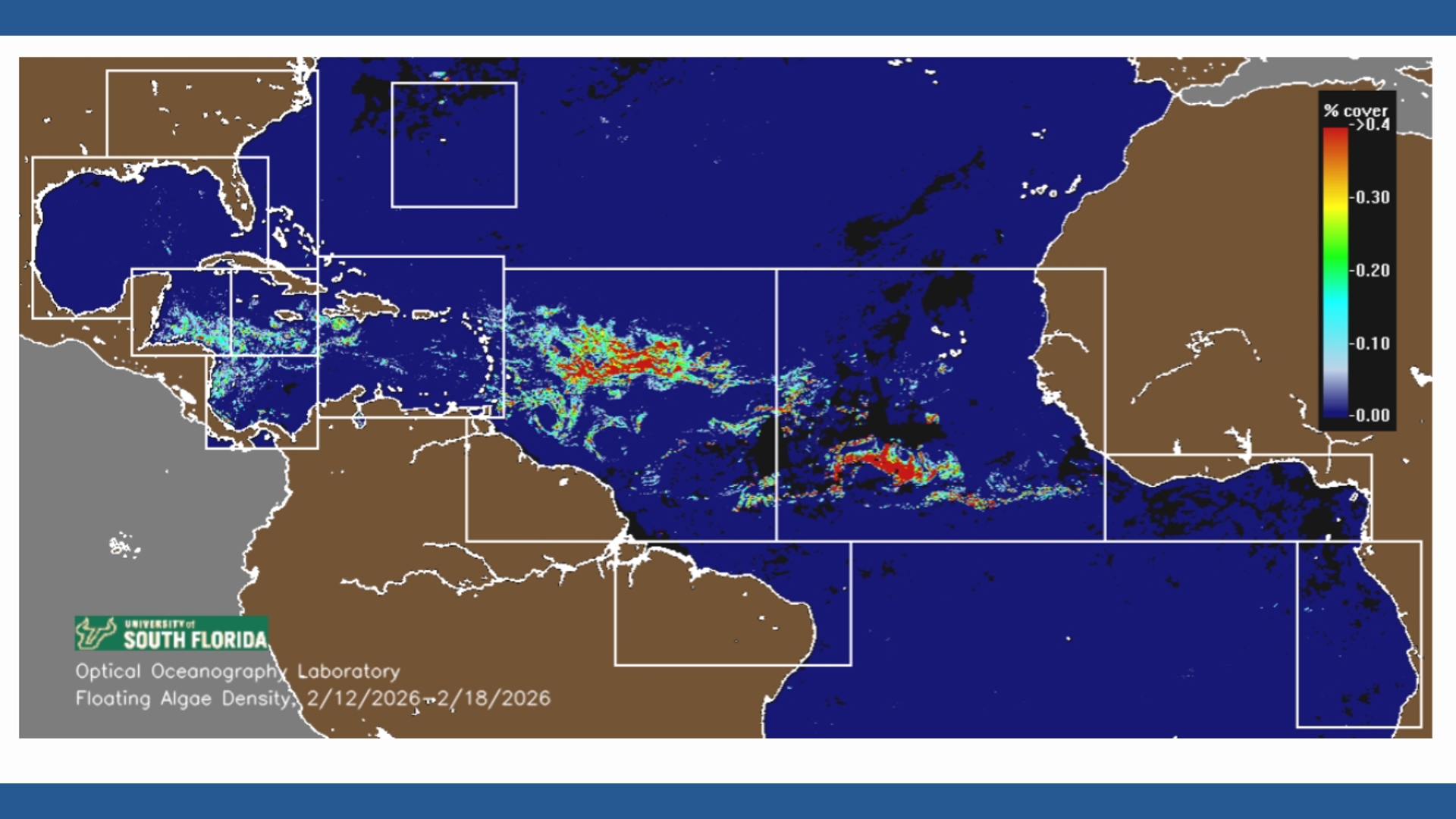 Sargassum invasion threatens spring break beaches | kagstv.com