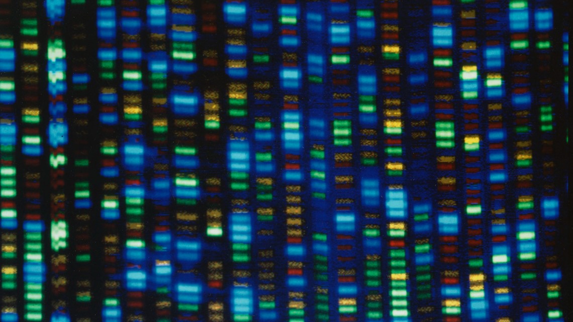 Human genome decoded fully | kagstv.com - Vimarsana News
