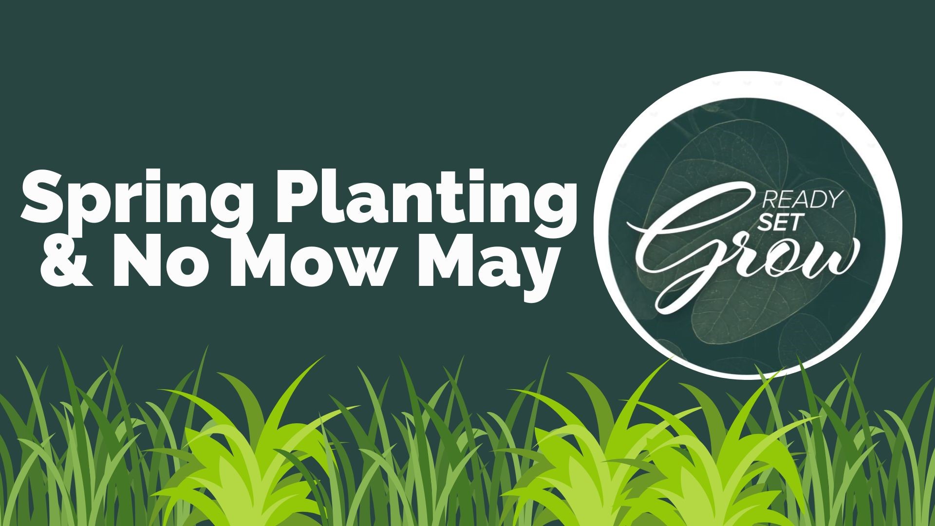 It is May which means time for spring planting. The flowers to avoid and which ones to consider growing this year, plus a look at the 'no mow May' trend.
