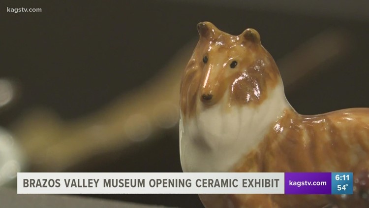 Brazos Valley Museum of Natural History opens new exhibit