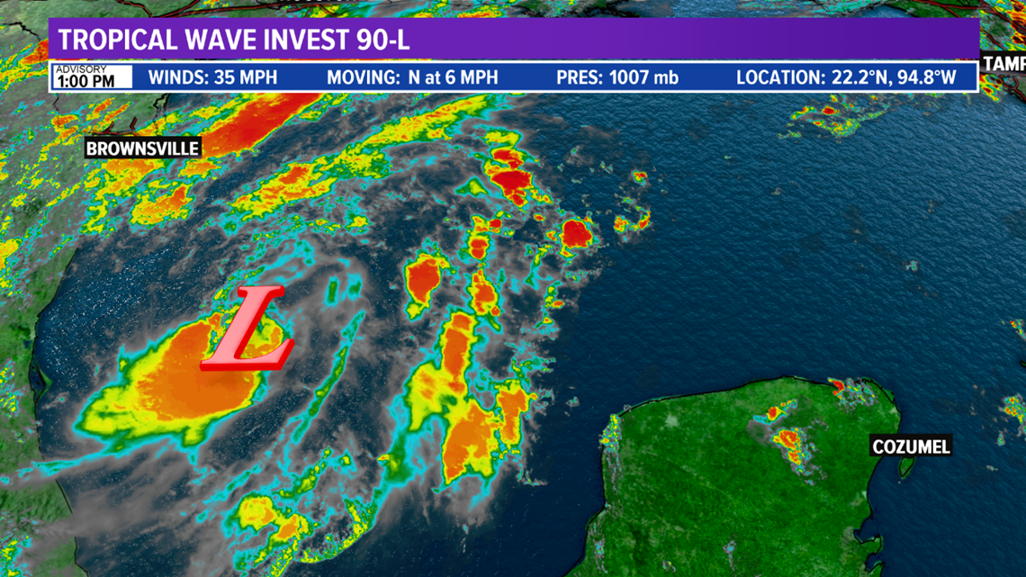 Invest 90L in the Gulf will develop into a tropical system