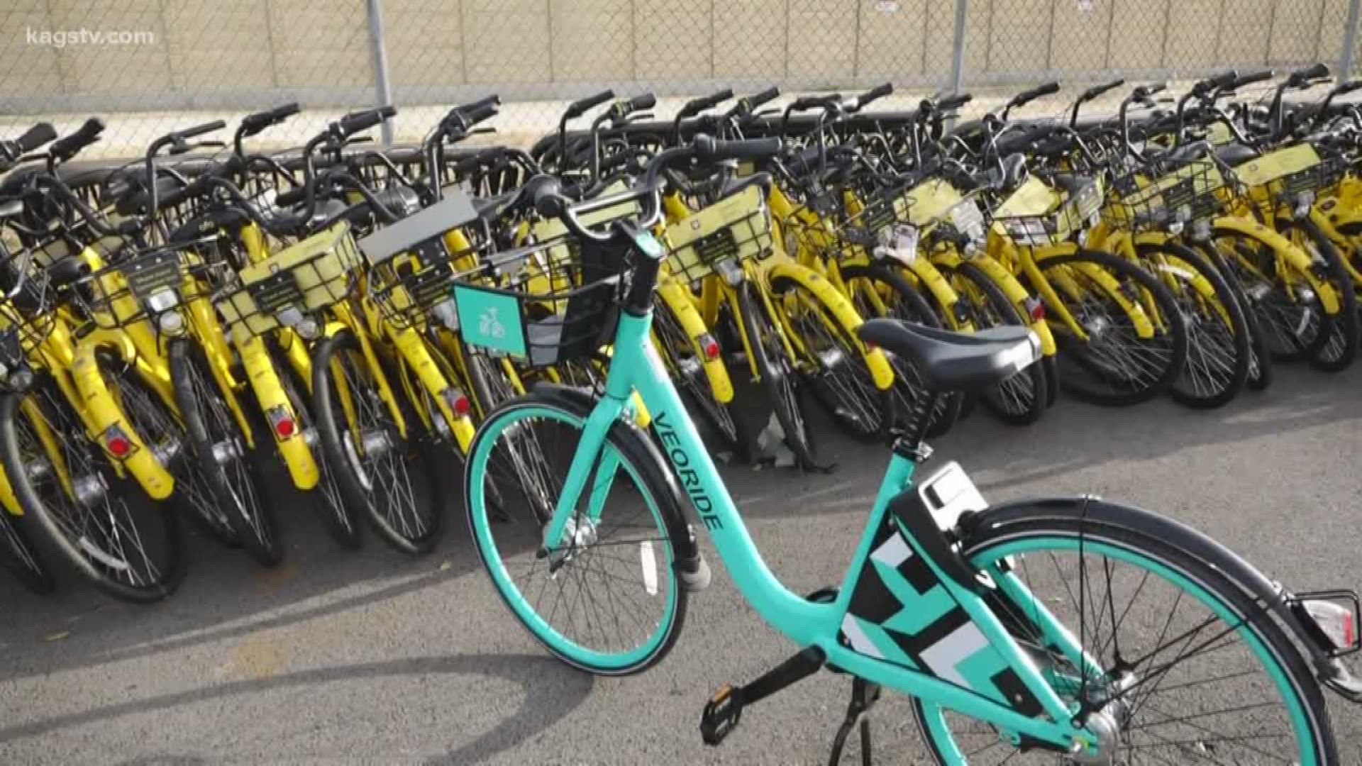 With bike sharing company OFO our at A&M, the school announced Veoride as the new bike share vender staring this spring.