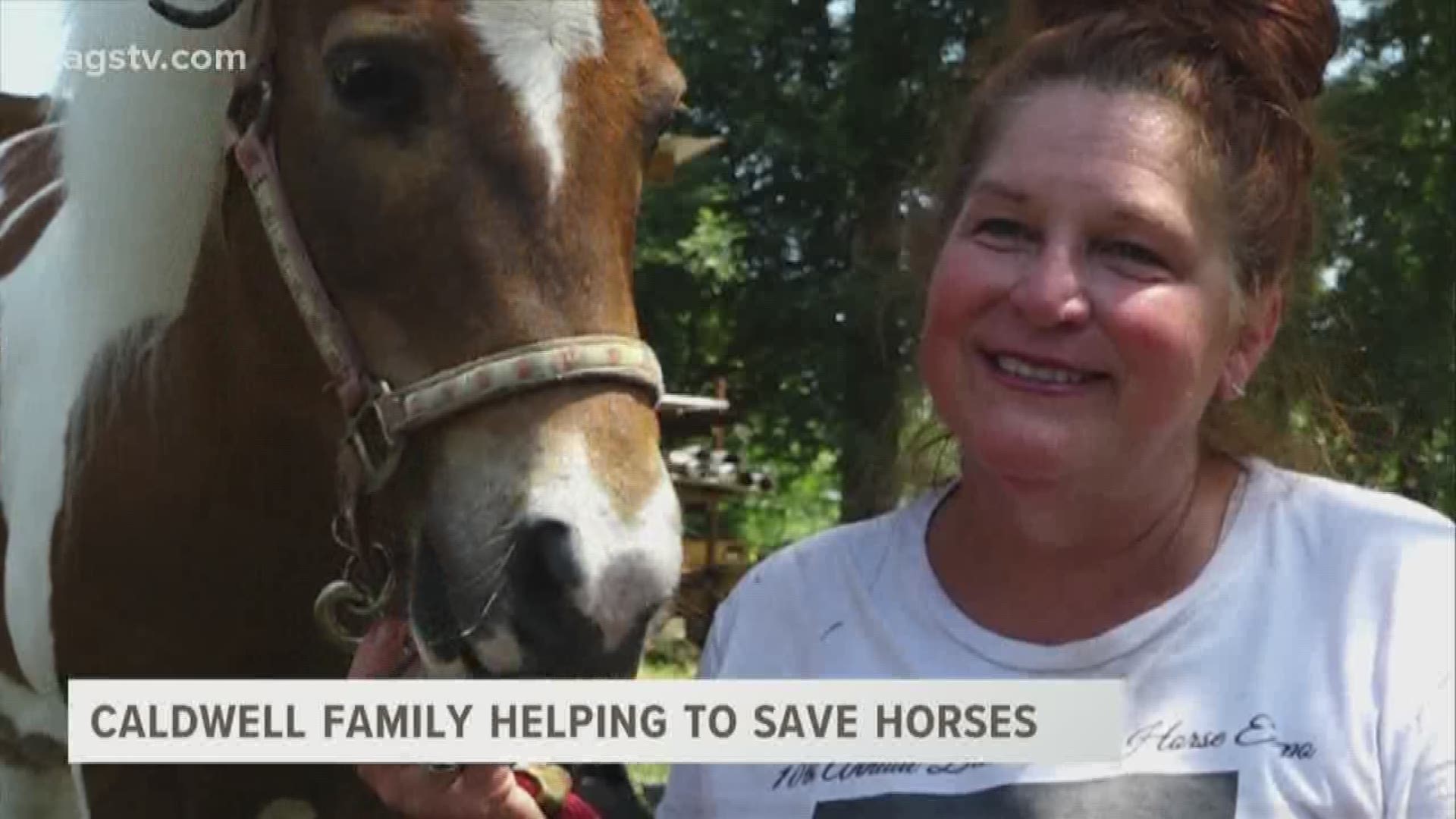 Every week we highlight a local rescue or shelter that works every day to save animals in our area. Tonight, we meet some of those good samaritans from Caldwell who are on a mission to rescue horses and find them forever homes.