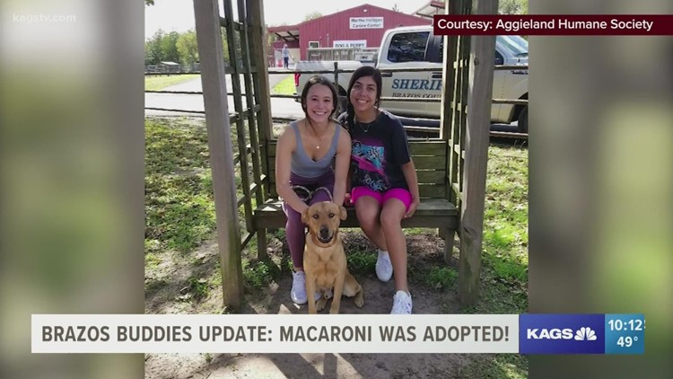 Brazos Buddies Update: Macaroni was adopted