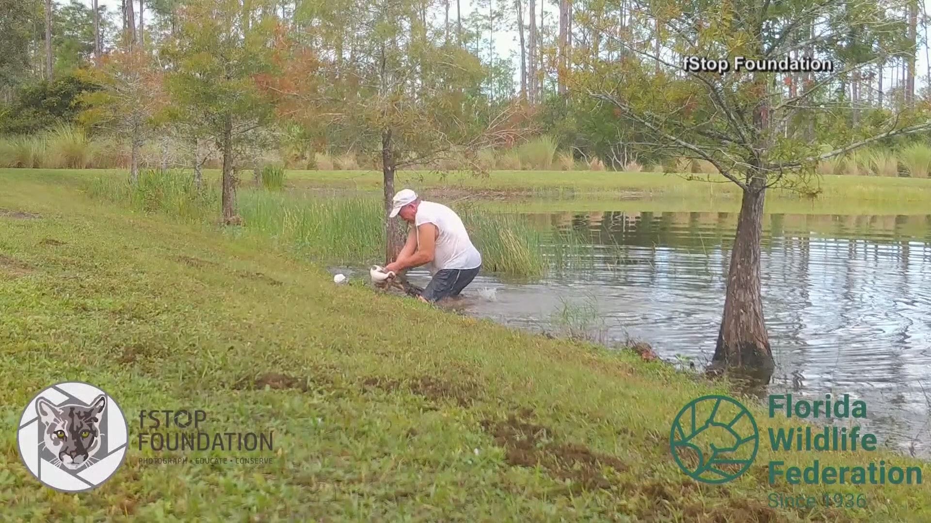 Richard Wilbanks and his wife, Louise, talk about saving their dog from the jaws of a gator.