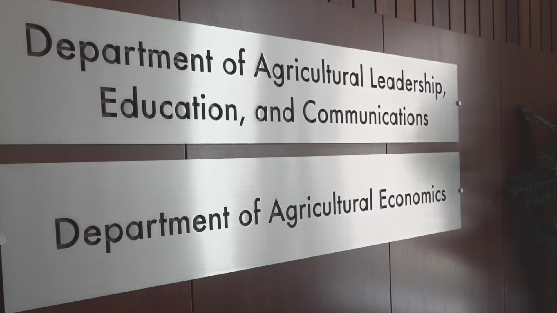 Texas A&M University leads in agriculture but is facing a professor shortage.