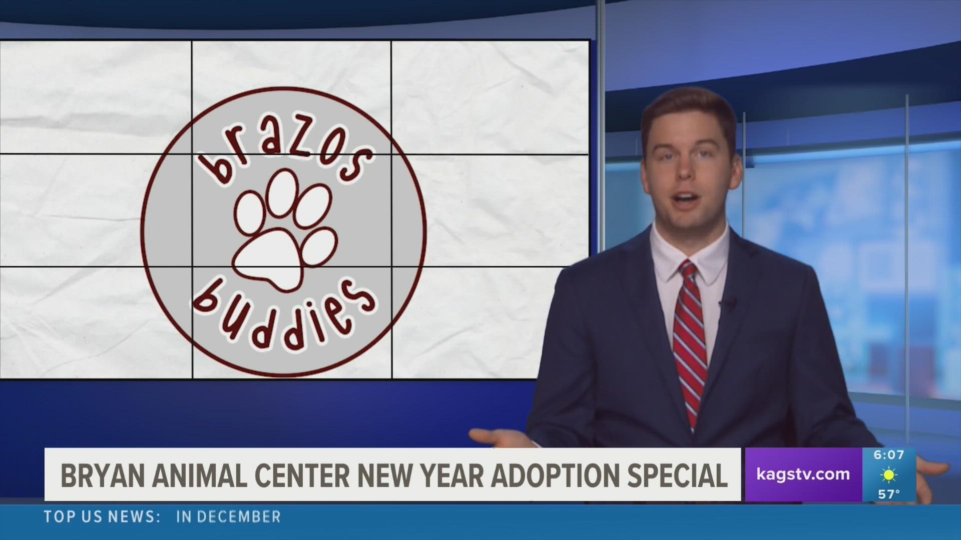 Ring in the new year by adopting a new furry friend from a local shelter.