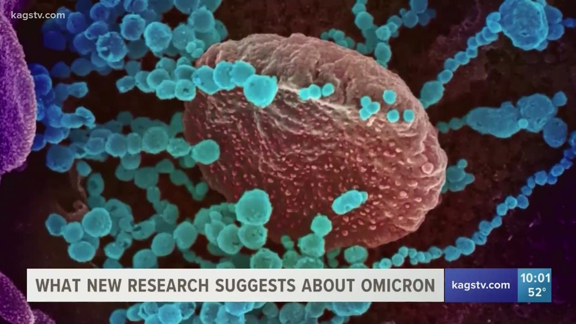 What new research suggests about the growing omicron COVID-19 variant - Vimarsana News