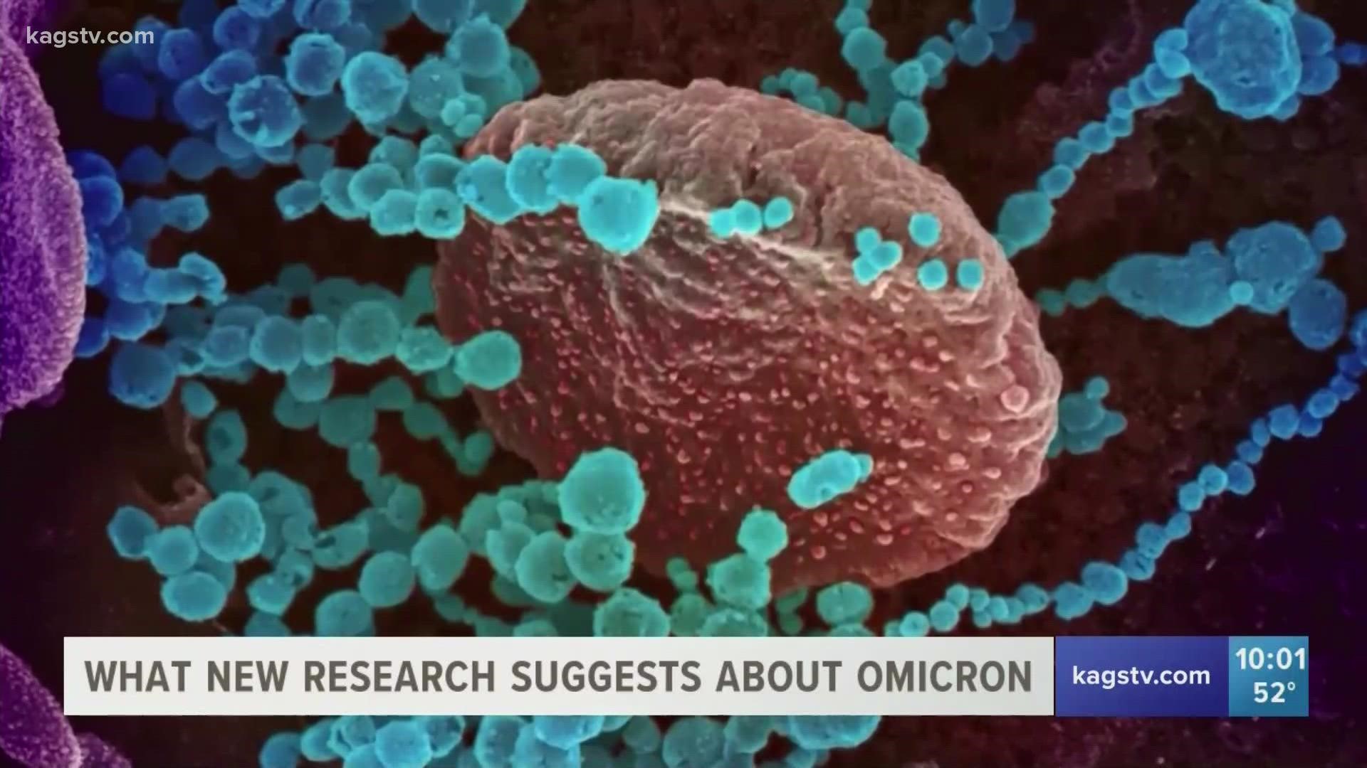 According to research out of South Africa, the Omicron COVID variant is at least three times more likely to cause reinfection than the Delta variant.