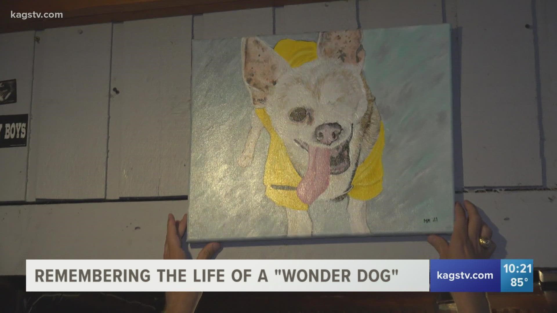 The one-eye furry friend frequented ShipWreck grill, where a painting now hangs in his honor