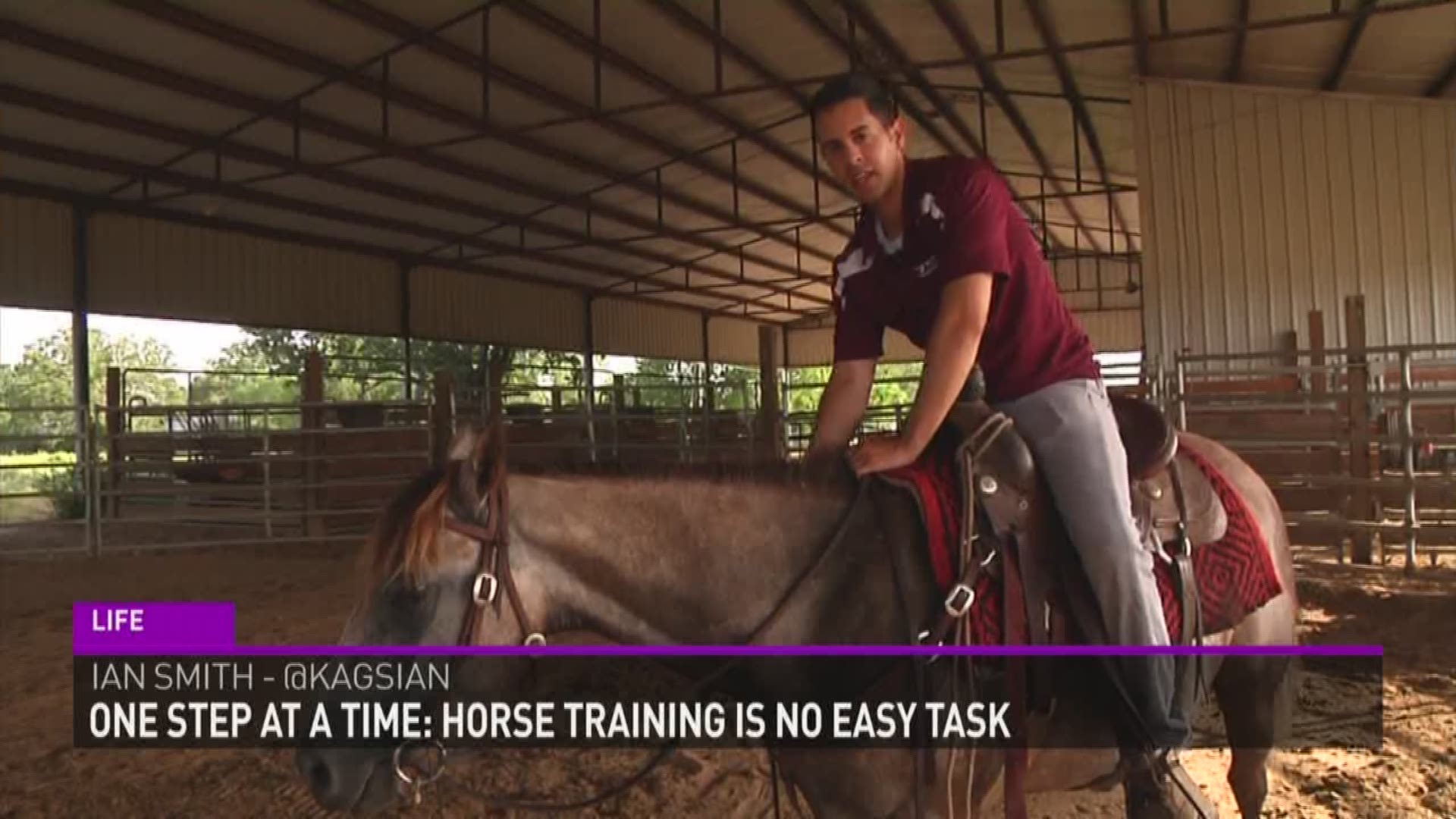 For our Tuesday Hot Job Ian Smith meets a horse trainer!
