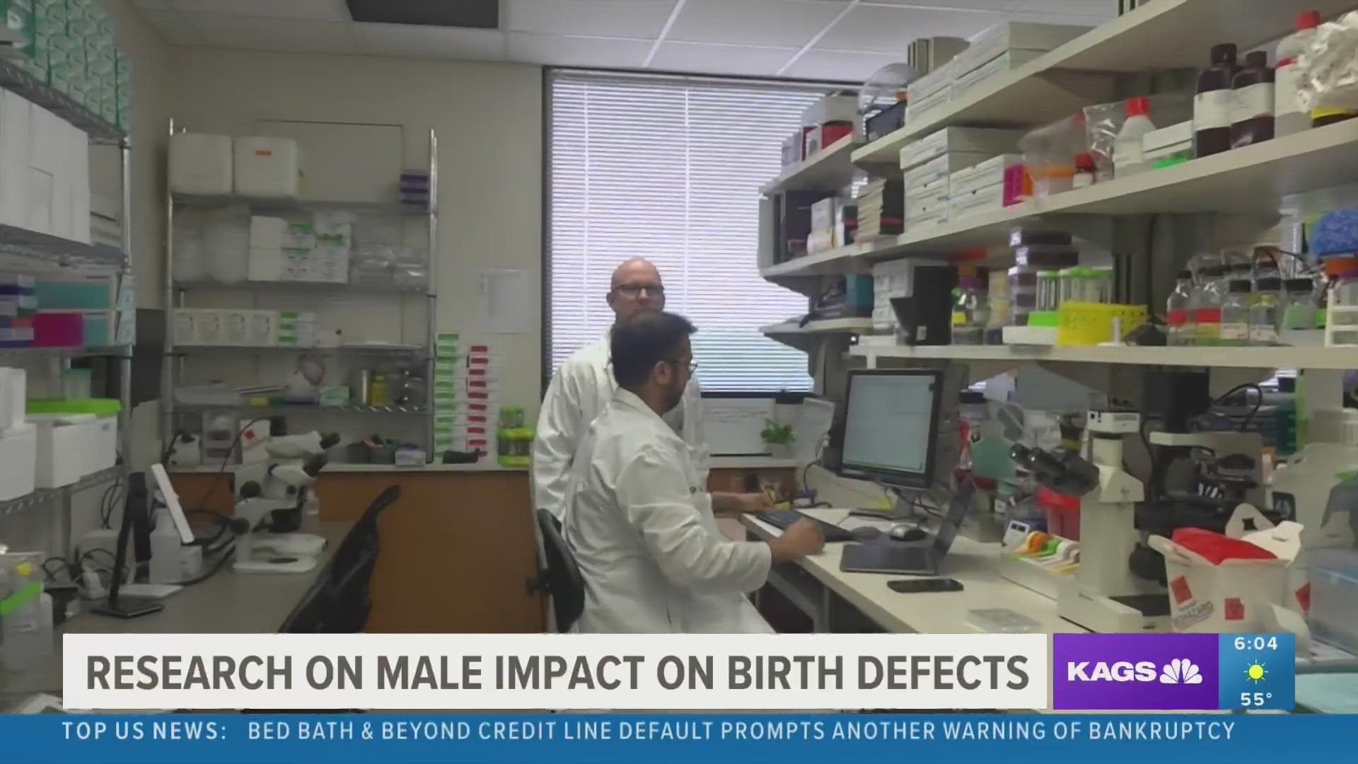 While reproductive health and birth defects have been frequently centered around females, Dr. Michael Golding of Texas A&M is diving into the impact males have.