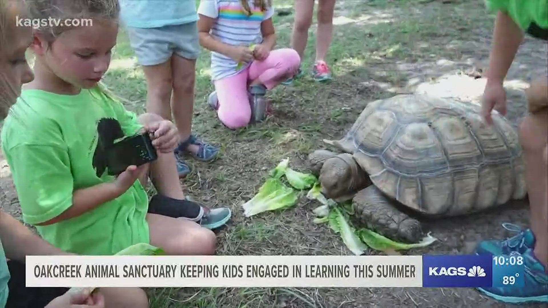 A dozen children got a chance to feed and interact with some of the animals and reptiles, and learn fun facts about each species.