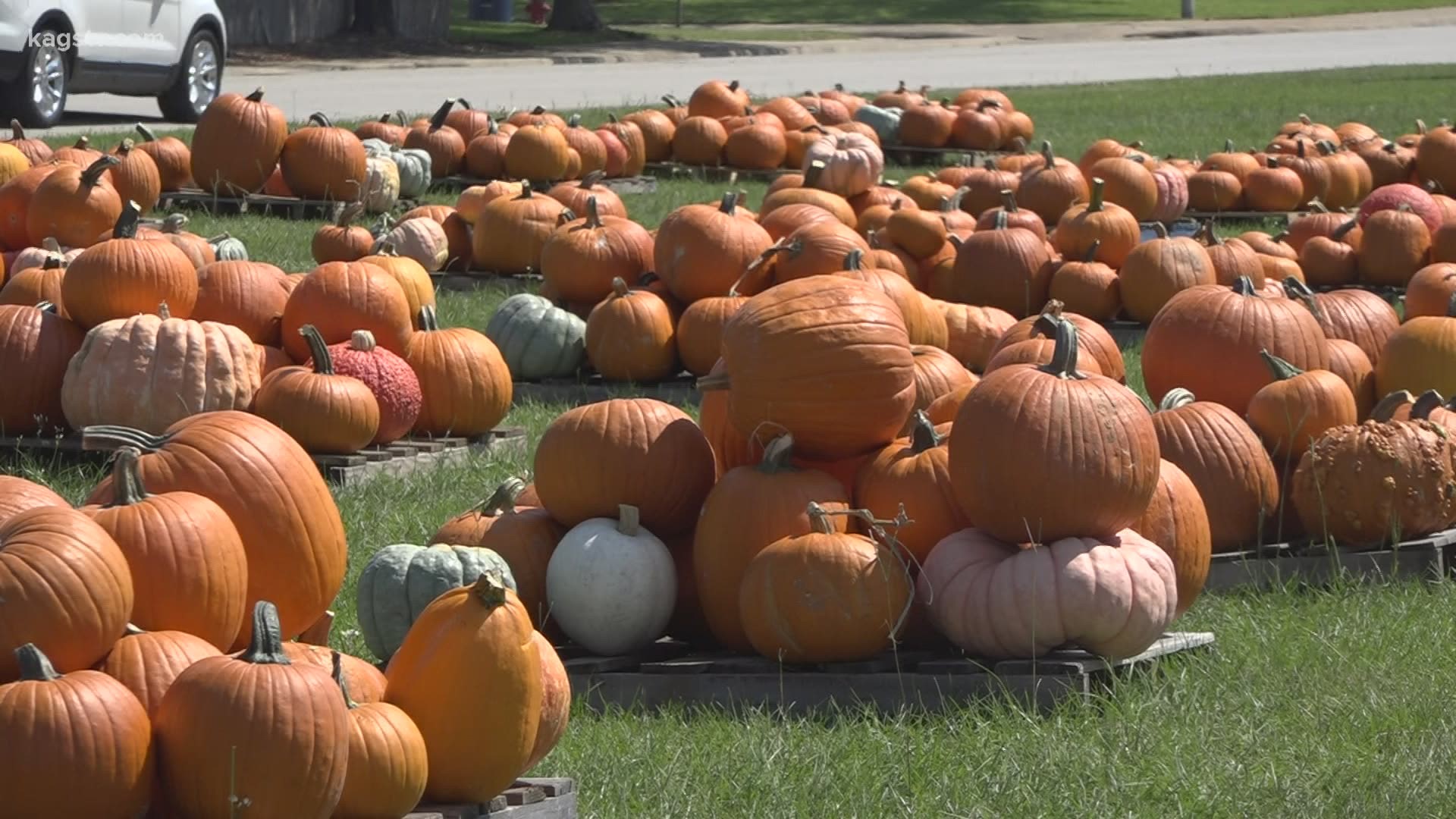 Aggie Habitat for Humanity kicked off its annual pumpkin patch Tuesday. The pumpkin patch is located by the Covenant Presbyterian Church in College Station.