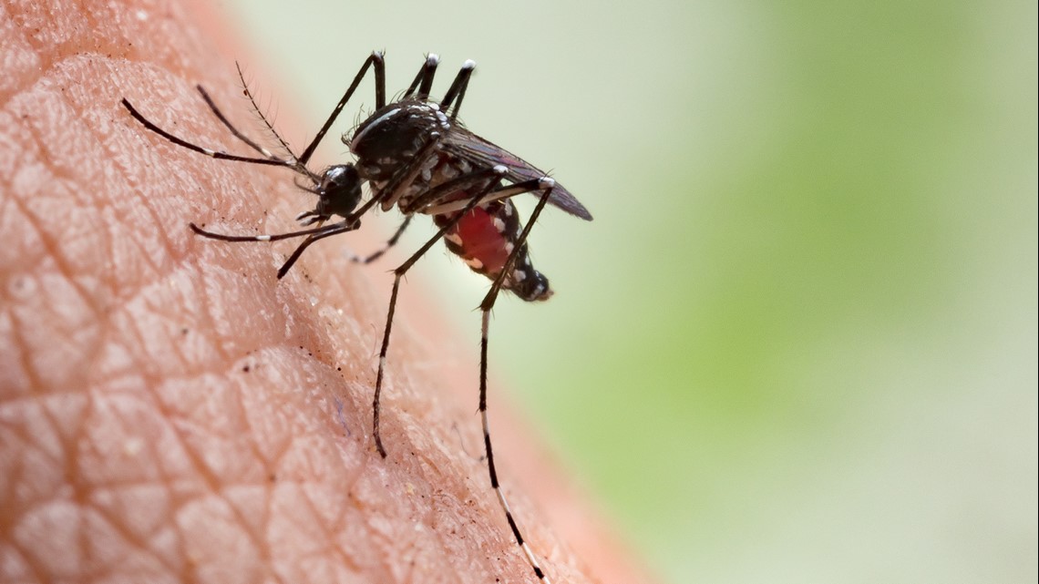 BCHD discusses mosquitoes with West Nile Virus in Brazos County - Vimarsana News