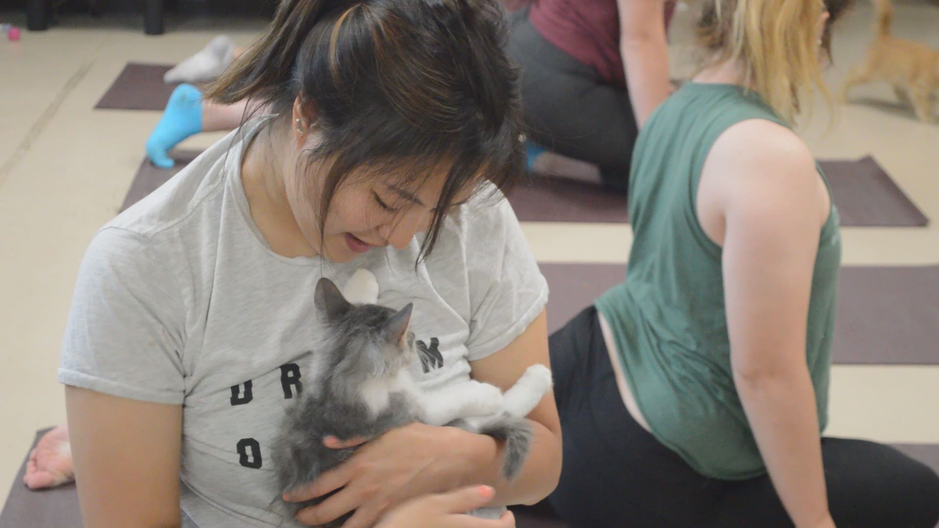 Aggieland Humane Society hosted a kitty yoga session.