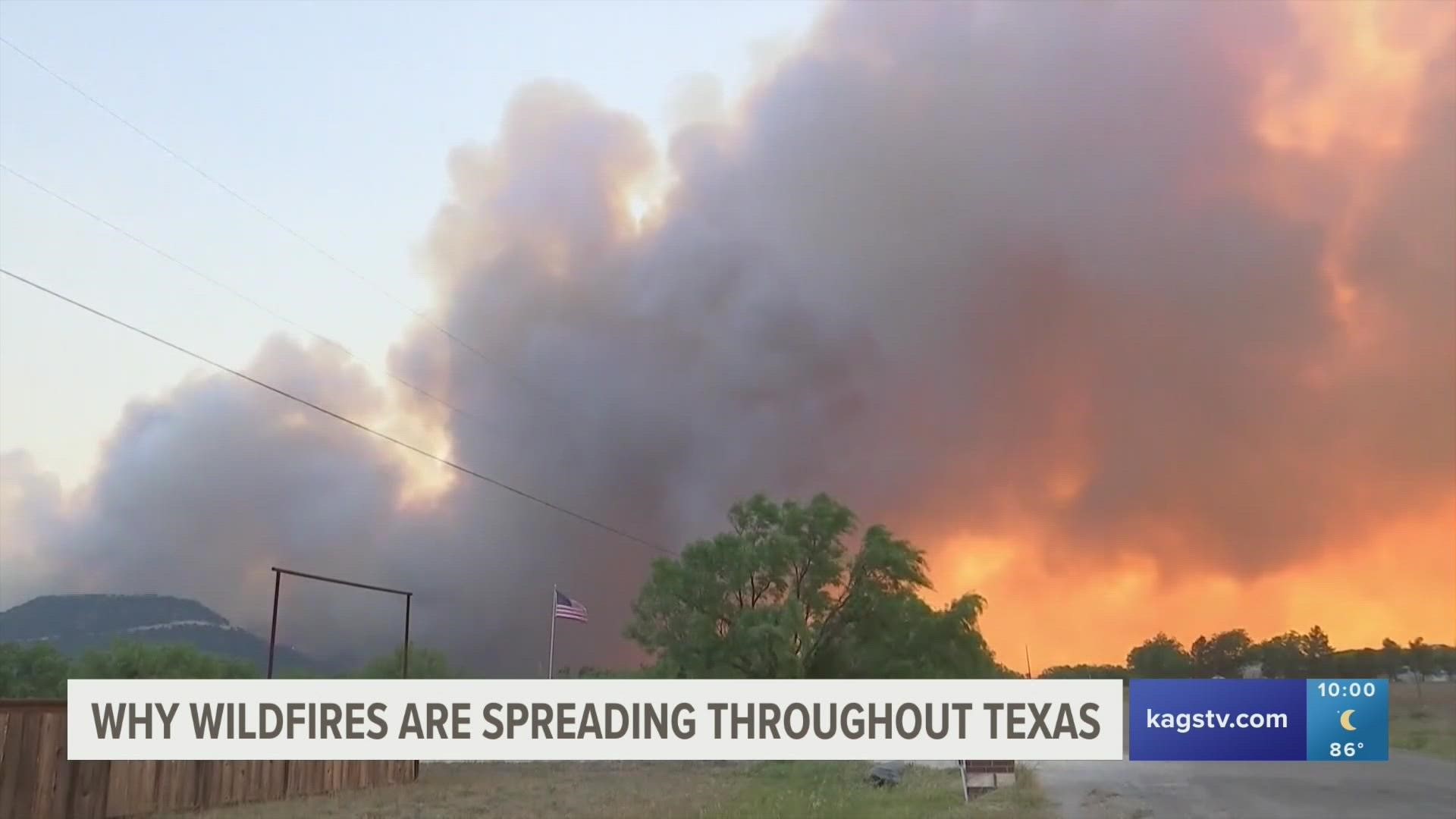 College Station Fire officials explained why the spread of wildfires are common during this time