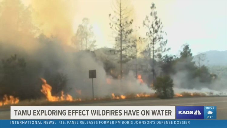 A Texas A&M professor investigates how wildfires affect drinking water sources