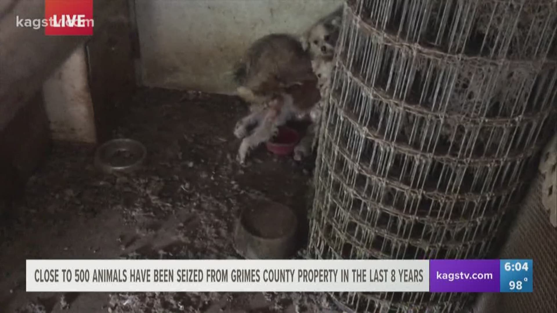 Authorities have investigated and rescued hundreds of animals from the same property