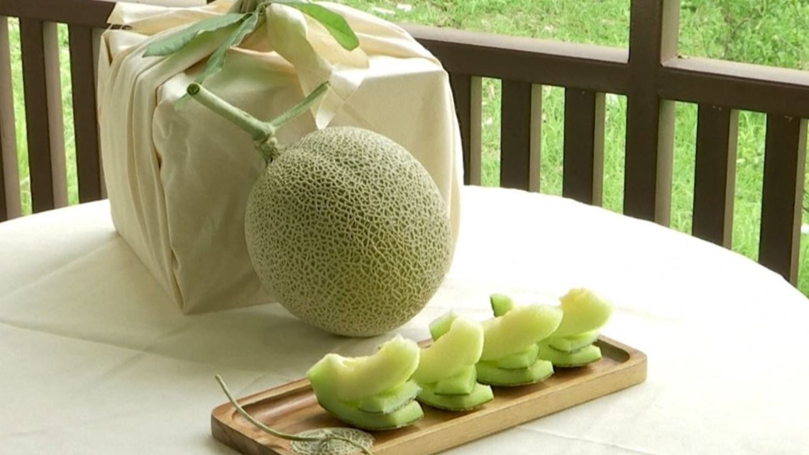 japanese-muskmelons-considered-most-expensive-in-the-world-kagstv