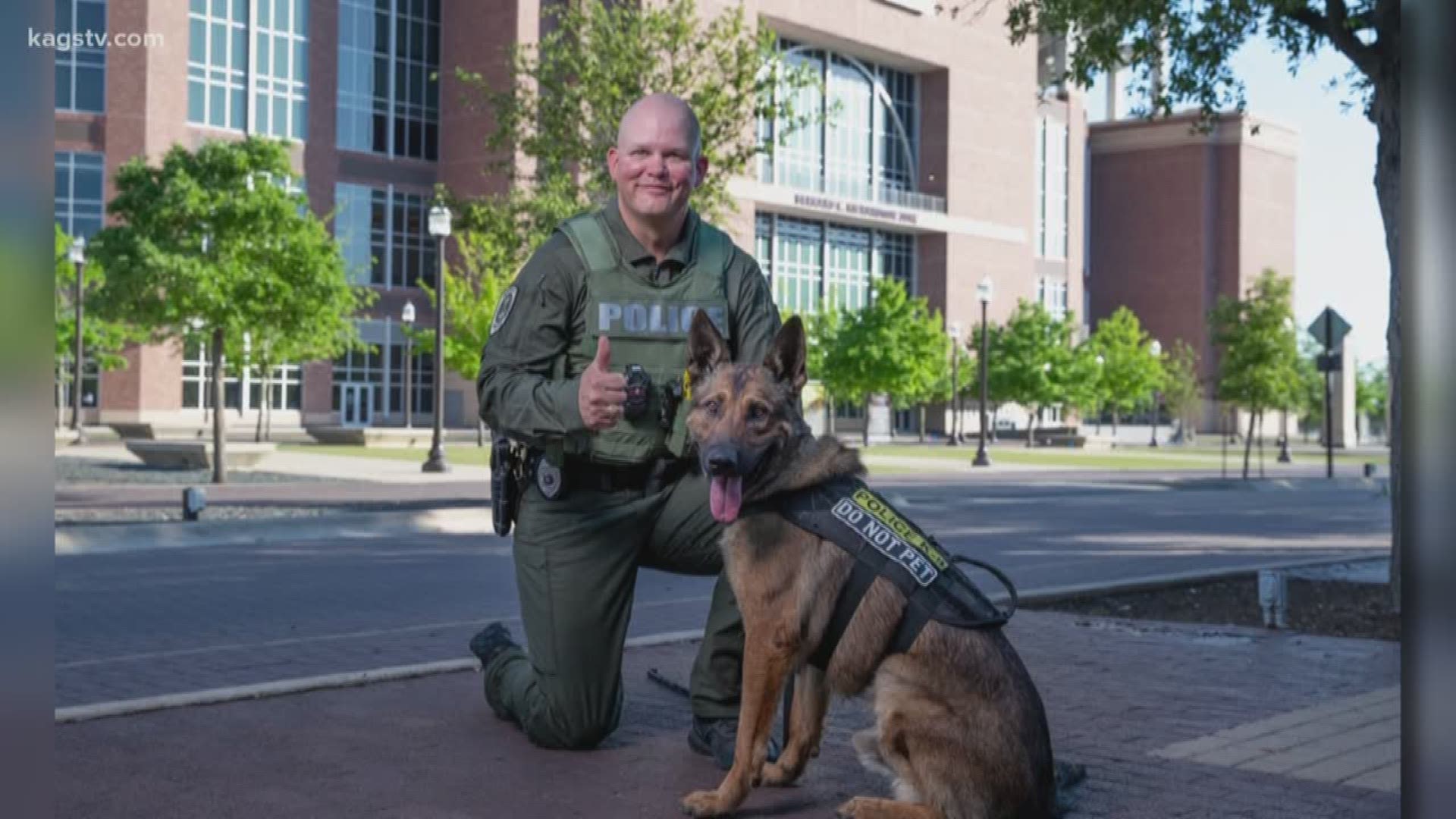 K-9 Mays will be working at campus events and assisting other law enforcement agencies.