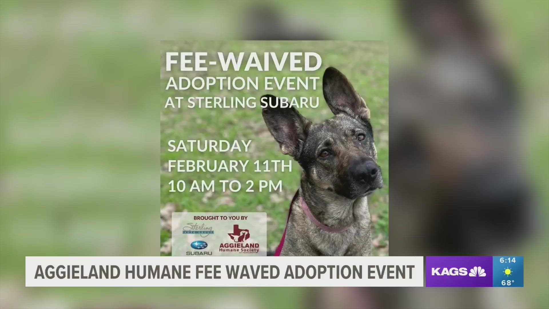 Adopt a new furry friend at a discount this coming Saturday!