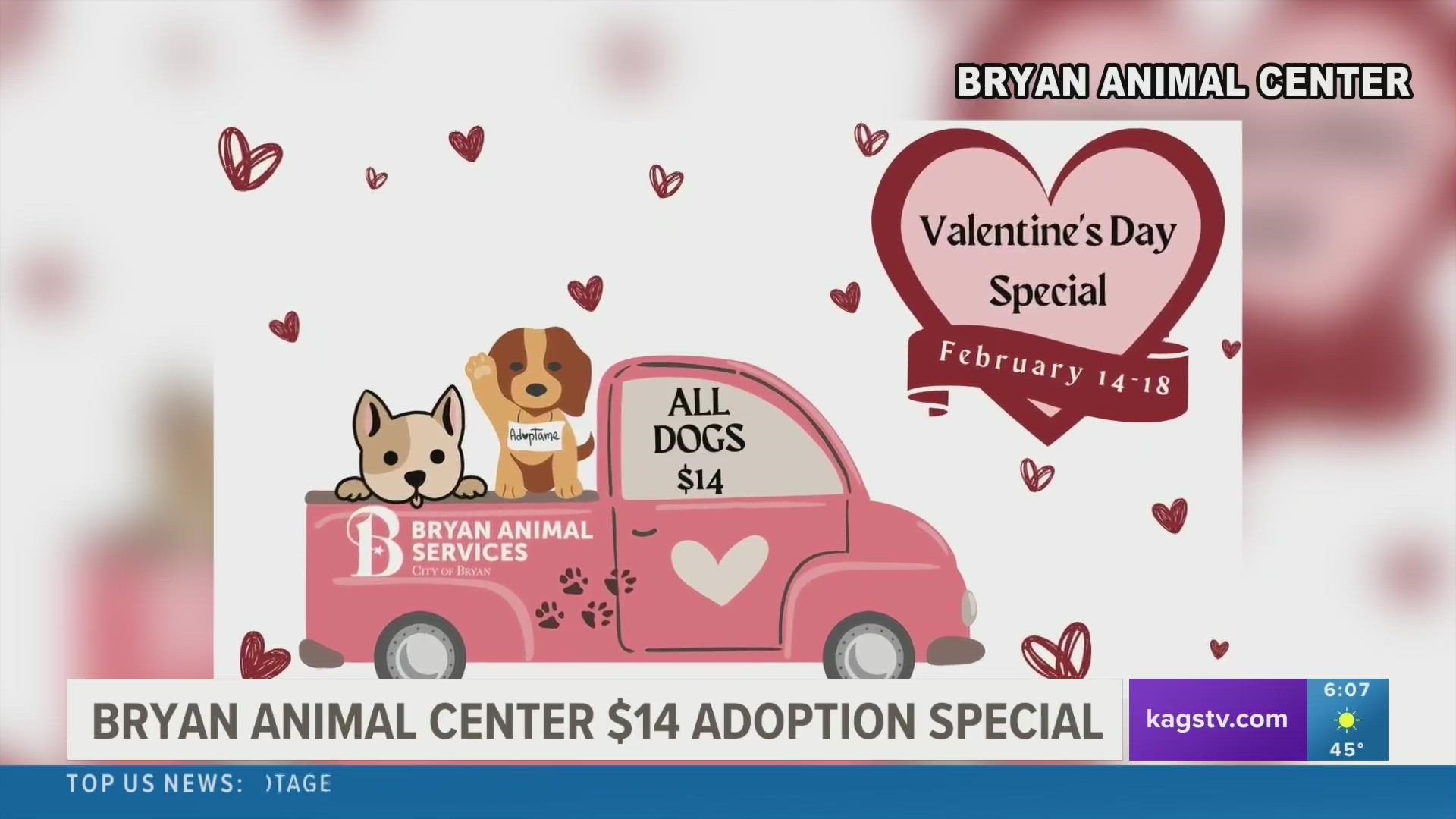 Surprise that special someone (or treat yourself) with a new furry friend for $14 starting on Valentine's Day.