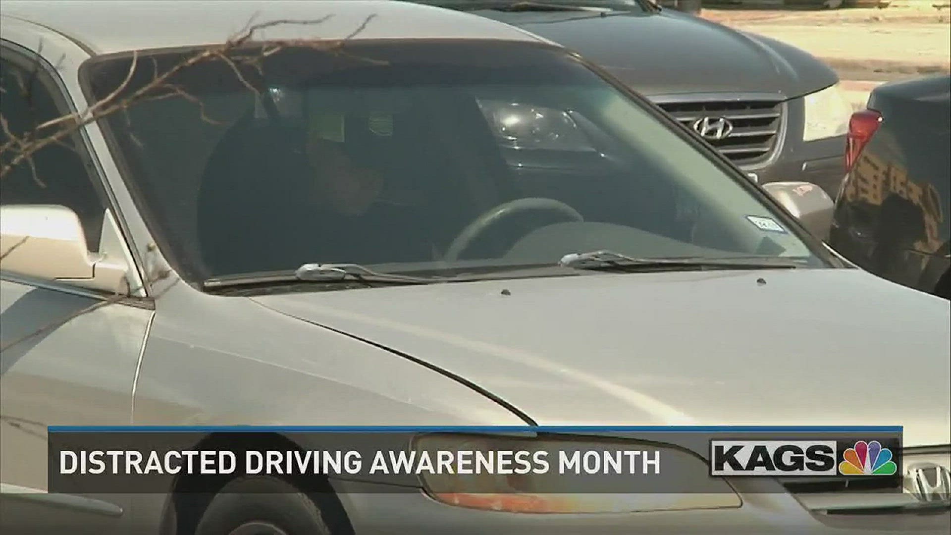 One TAMU professor says more lives could be saved if there was a statewide ban on texting.