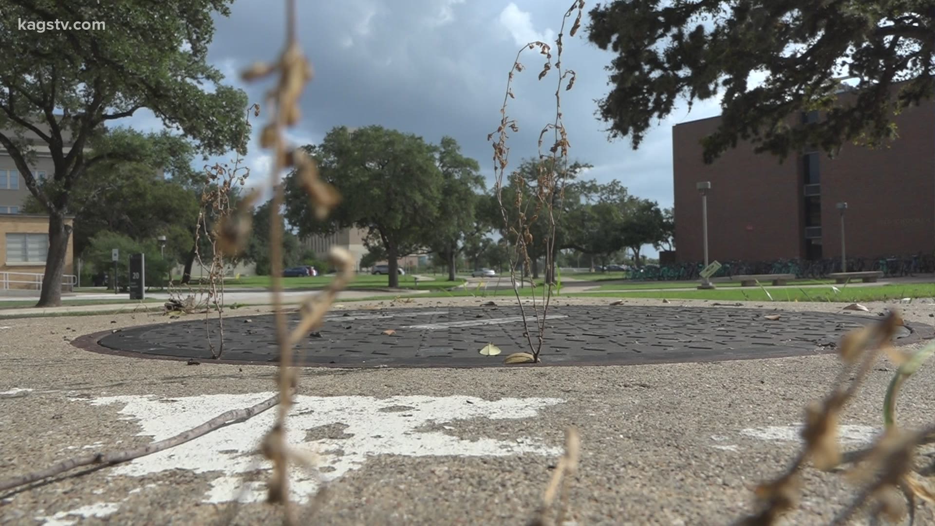 Smelly solution: TAMU using sewage to trace COVID-19 on campus