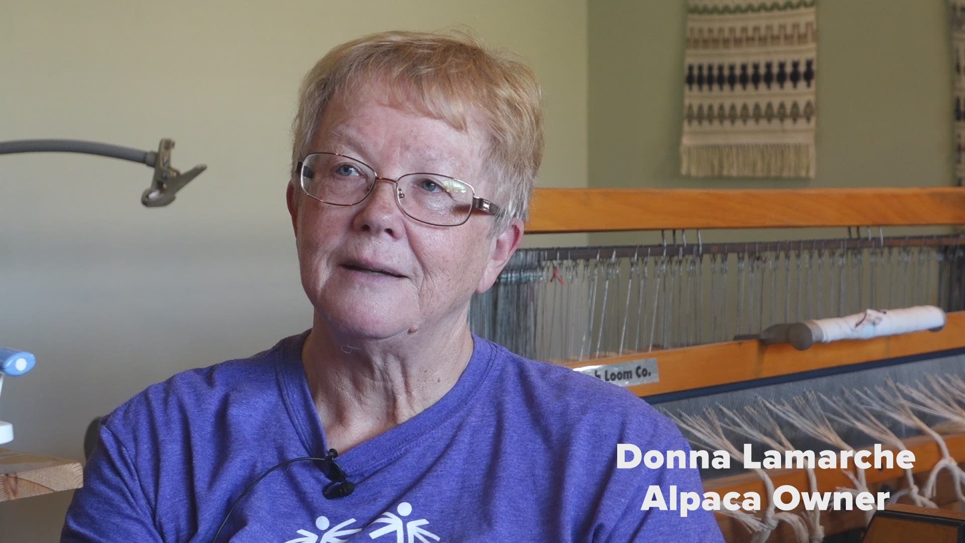 Donna and Alex Lamarche never thought they'd own a farm, much less own a herd of alpacas but after their son suffered traumatic brain damage from a car accident at 16, Donna and Alex made some big changes.