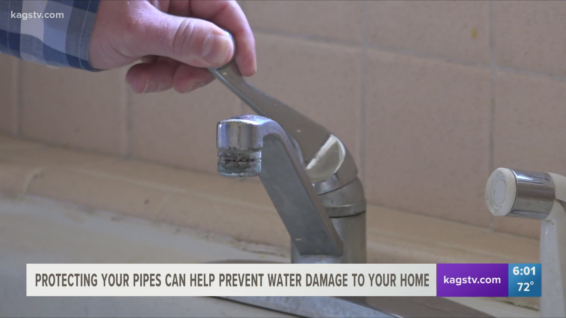 When the temperature drops, remember to protect the three P's: Pets, Pipes and Plants