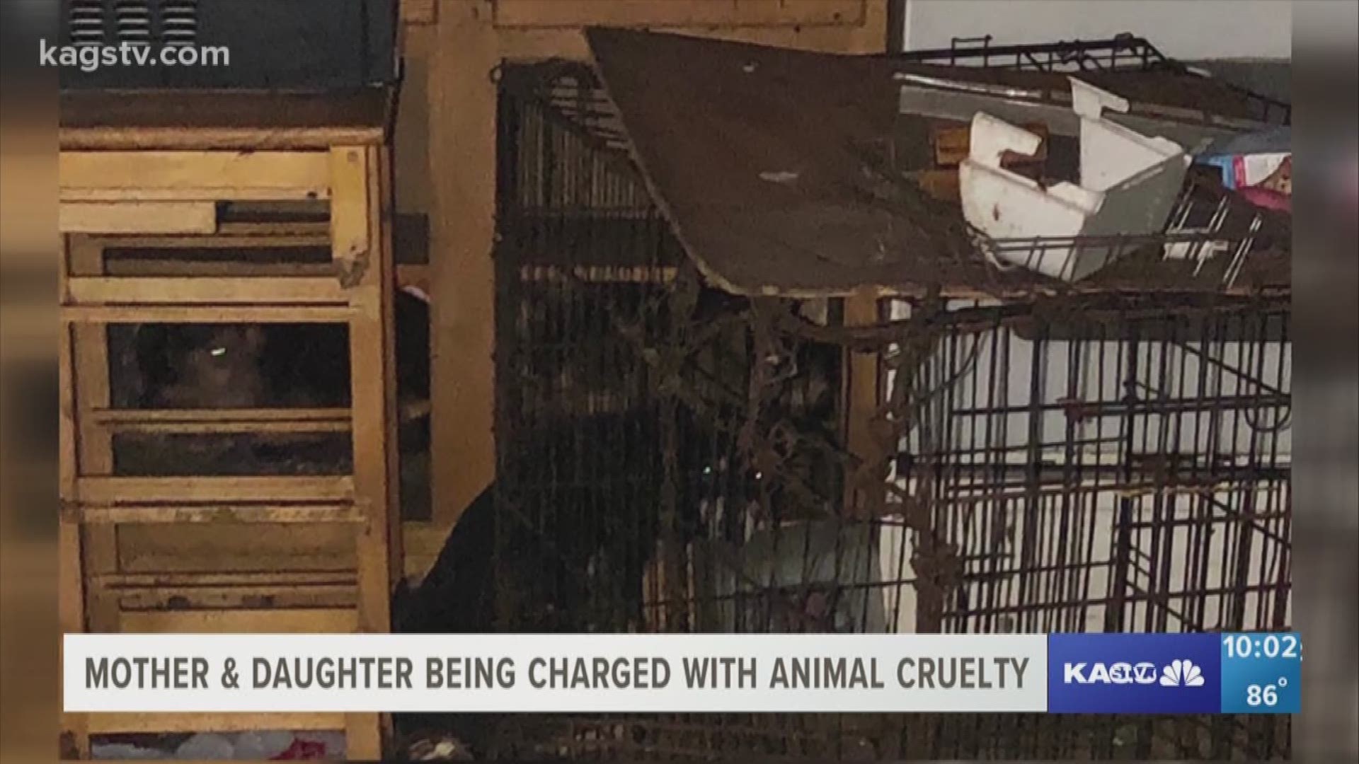 Authorities in Madison County are still investigating the "worst case" of animal cruelty they said they've ever seen.