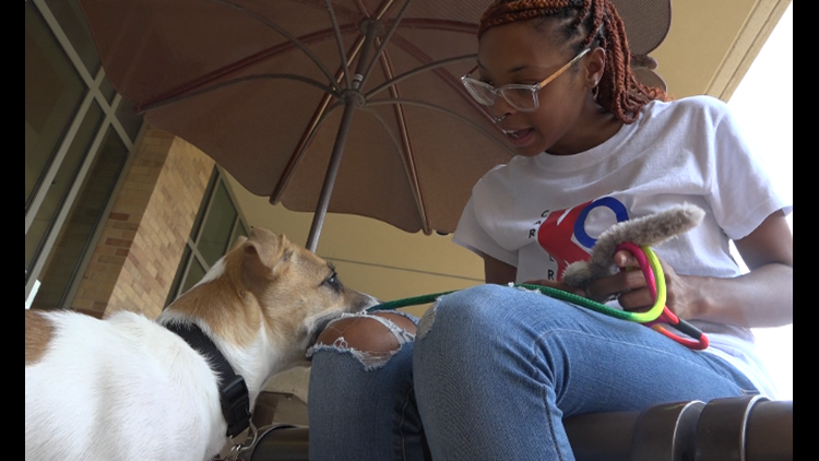 Exceptional Aggies: Sophomore turns passion into 'paw-fect' business