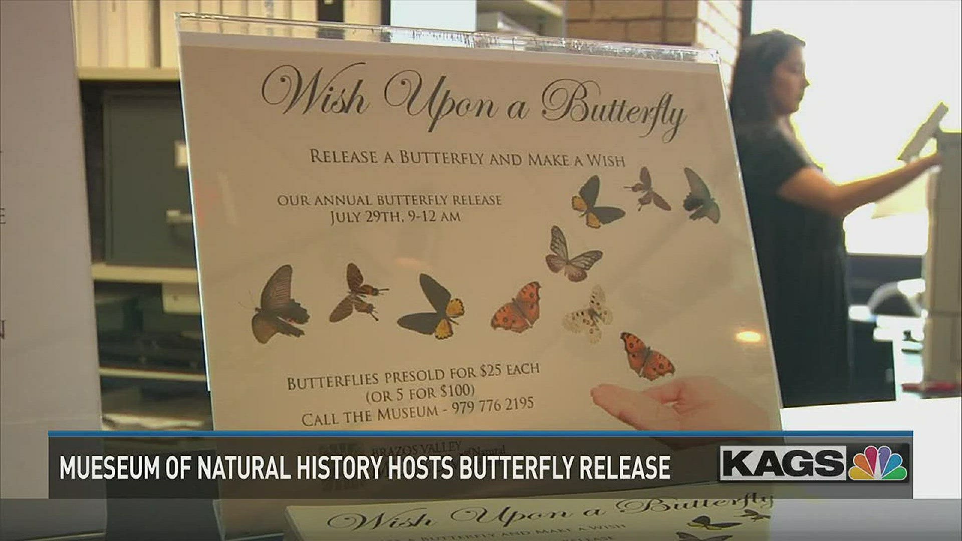 The public is invited to participate in a butterfly release benefiting programs at the Brazos Valley Museu of Natural History.