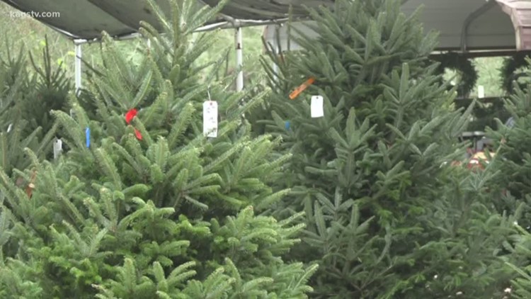 What's the right way to dispose of your real Christmas tree?