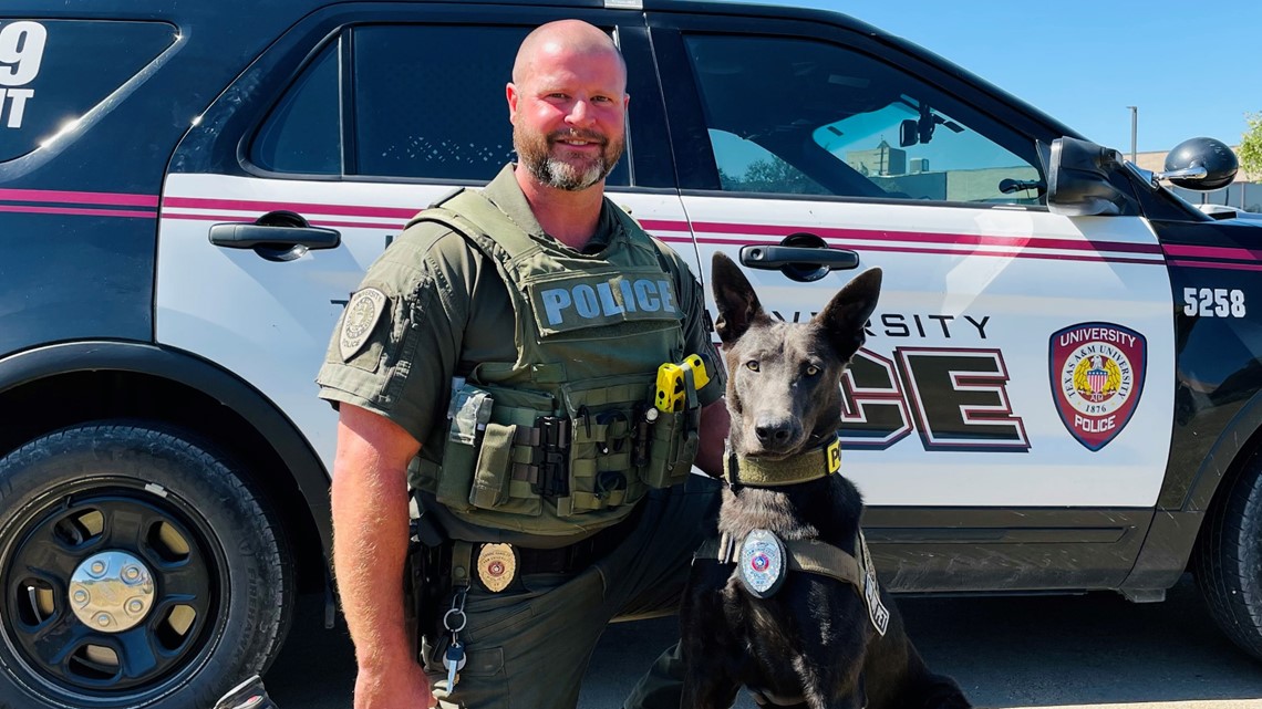 New K-9 Officer joins Texas A&M University Police - Vimarsana News