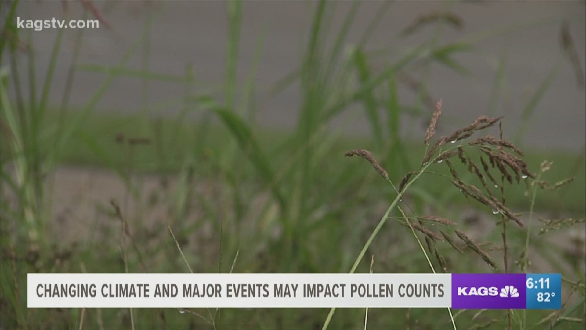 Hurricane Harvey and the subsequent flooding may have subsided months ago but it continues to devastate many allergy sufferers across Texas during the Fall and Spring allergy seasons.