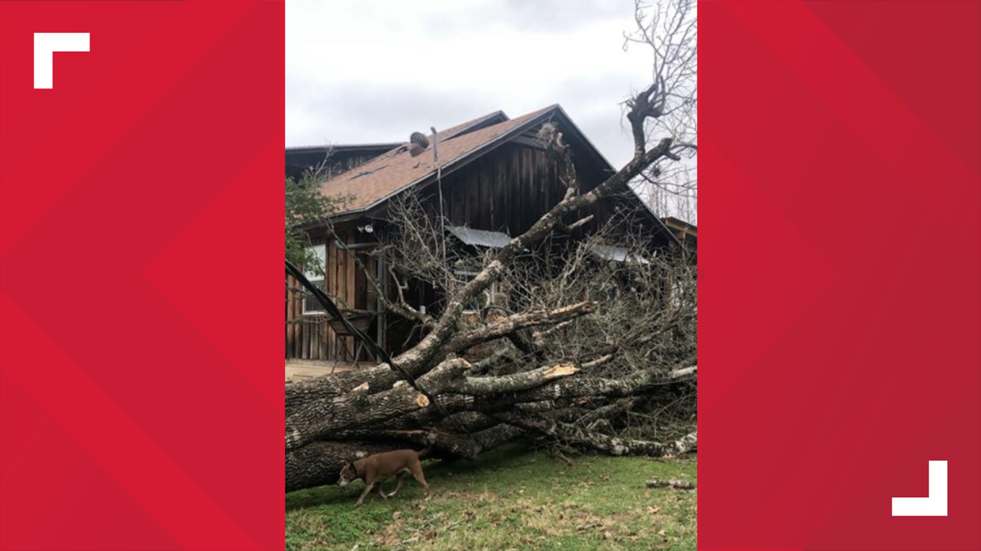 NWS confirms tornado damage in Burleson County