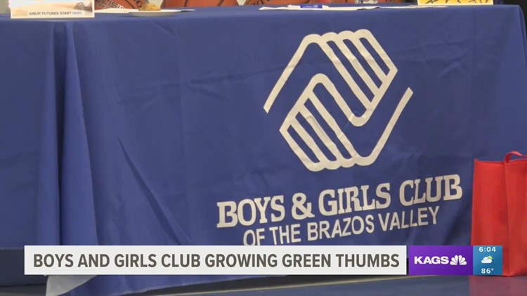 Boys & Girls Club of Bryan begins new vegetable garden for its young members