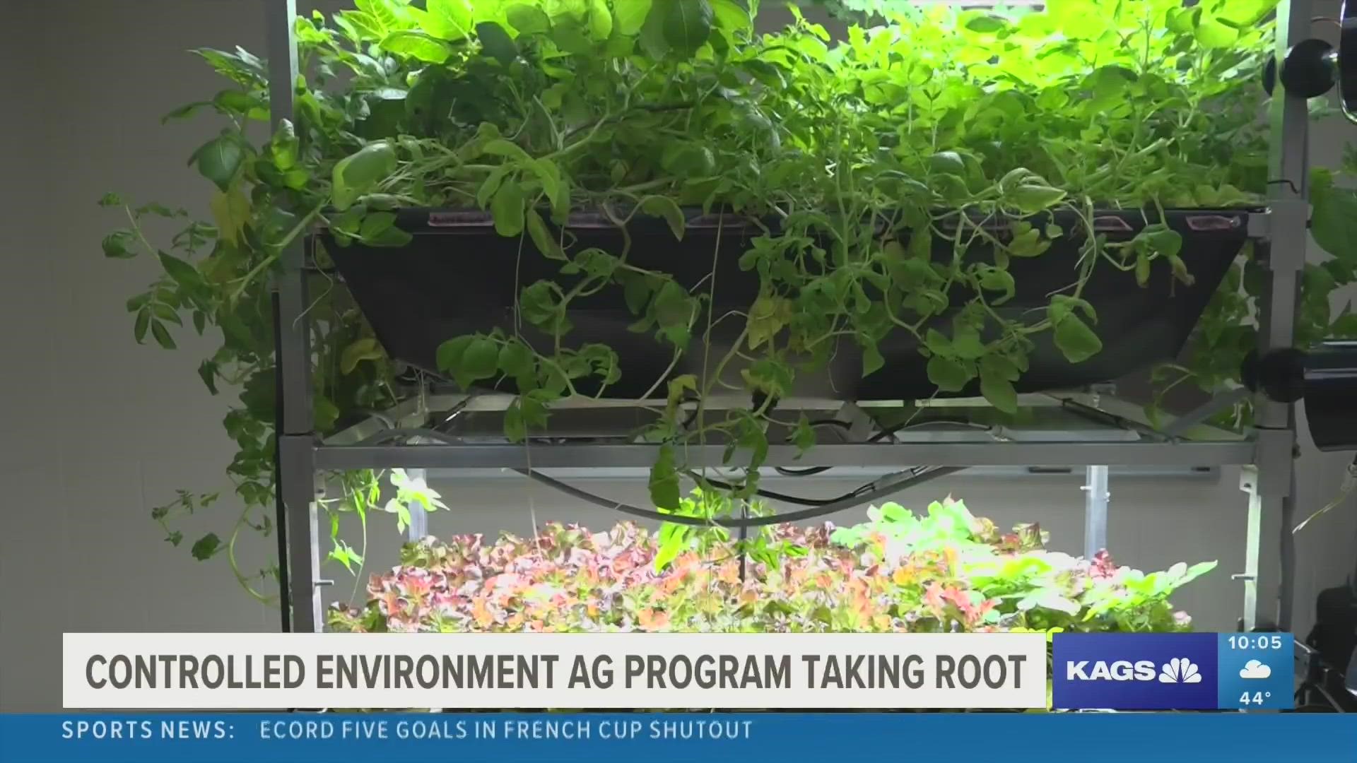 The Controlled Environment Agriculture Program in the Department of Horticultural Sciences at Texas A&M is aiming to revolutionize how we harvest food in the future.
