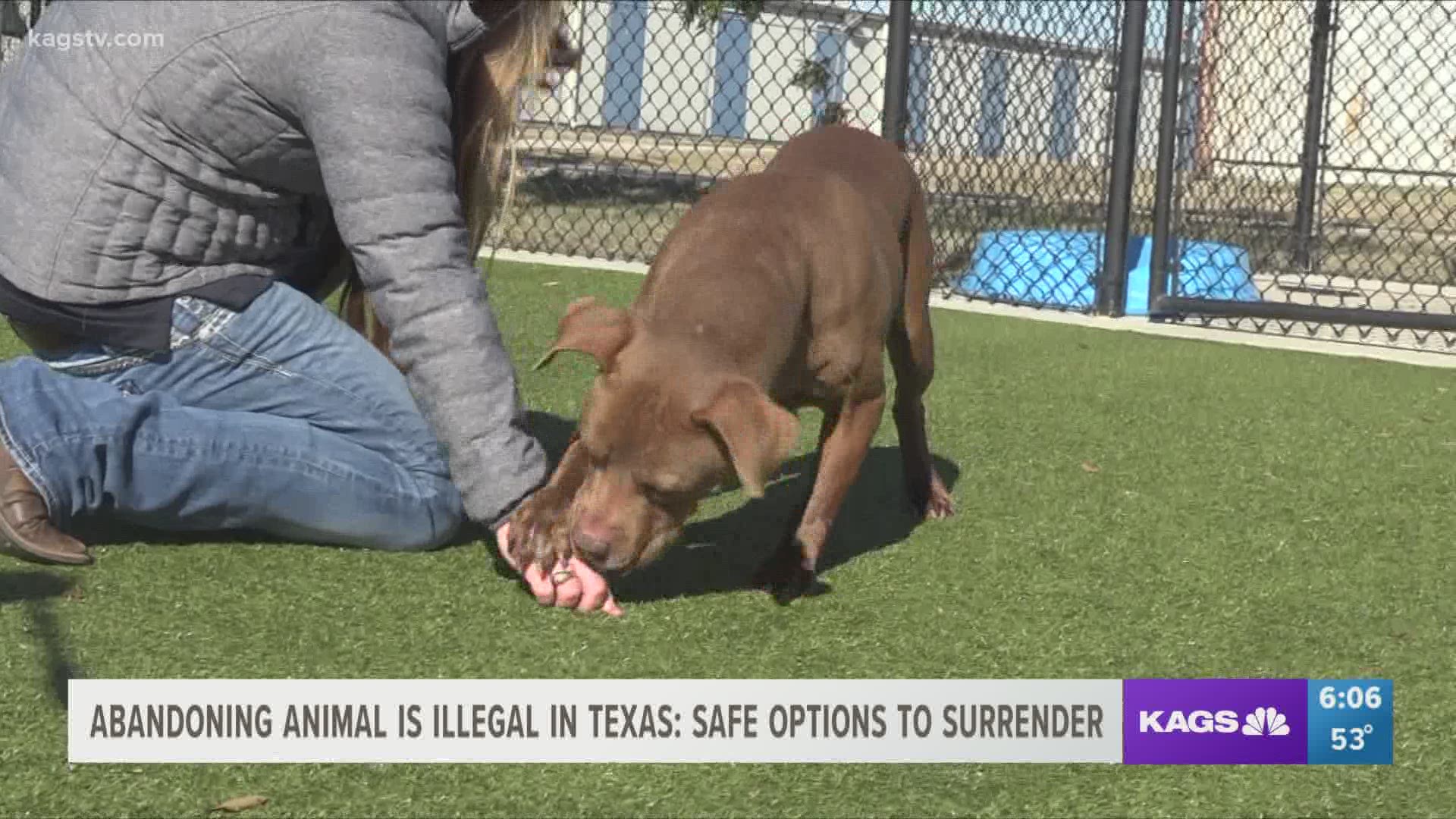 Abandoning your pet is illegal in Texas 